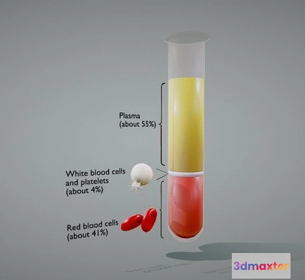 1532178 - PBR Game 3D Models - Composition Of Whole Blood 3D Max