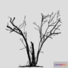1532218 - PBR Game 3D Models - Dead Mangrove Tree 3D Max