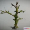 1532220 - PBR Game 3D Models - Dead Tree With Moss And Small Fern Coverage 3D Max