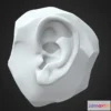 1532246 - PBR Game 3D Models - Ear Sculpt 3D Max
