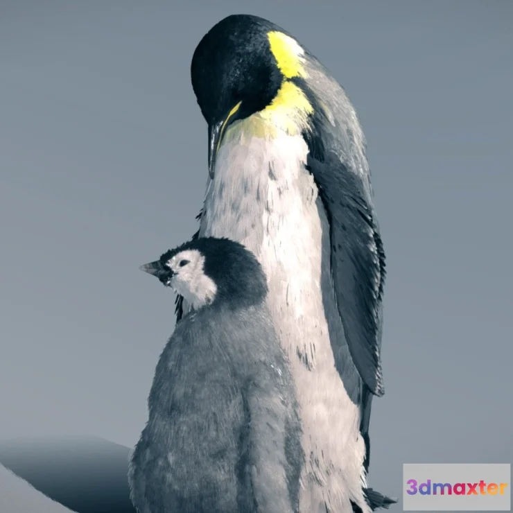 1532270 - PBR Game 3D Models - Emperor Penguin ( Family Pack ) 3D Max