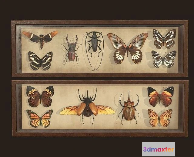 1532274 - PBR Game 3D Models - Entomological pictures 3D Max