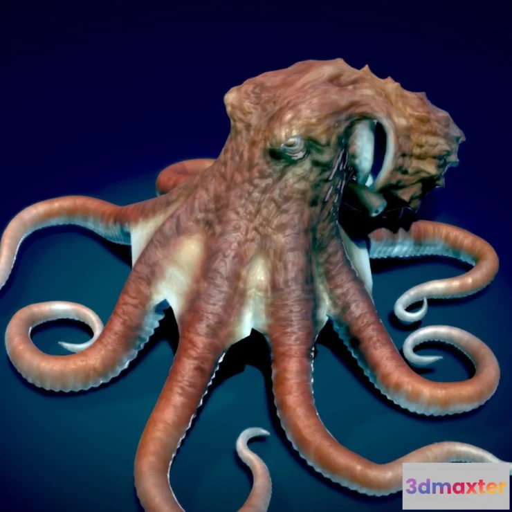 1532362 - PBR Game 3D Models - Giant Pacific Octopus 3D Max