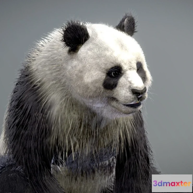 1532364 - PBR Game 3D Models - Giant Panda 3D Max
