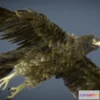 1532374 - PBR Game 3D Models - Golden Eagle 3D Max