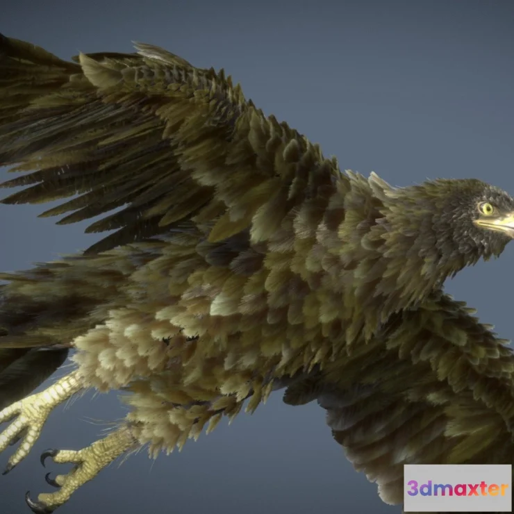 1532374 - PBR Game 3D Models - Golden Eagle 3D Max