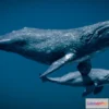 1532382 - PBR Game 3D Models - Gray Whale 3D Max