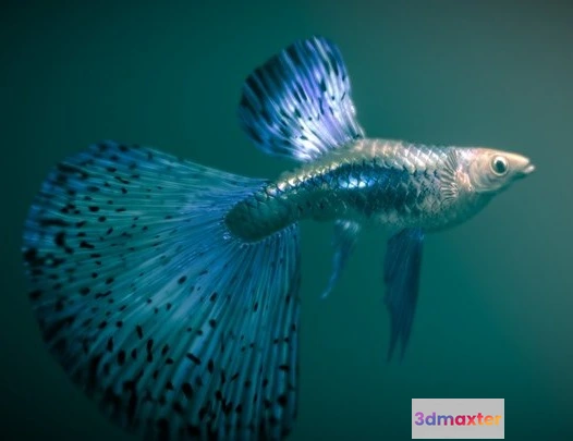 1532388 - PBR Game 3D Models - Guppy — Blue Grass 3D Max