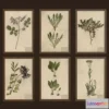 1532416 - PBR Game 3D Models - Herbarium pictures 3D Max