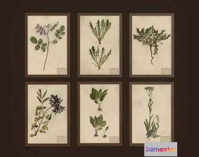 1532416 - PBR Game 3D Models - Herbarium pictures 3D Max