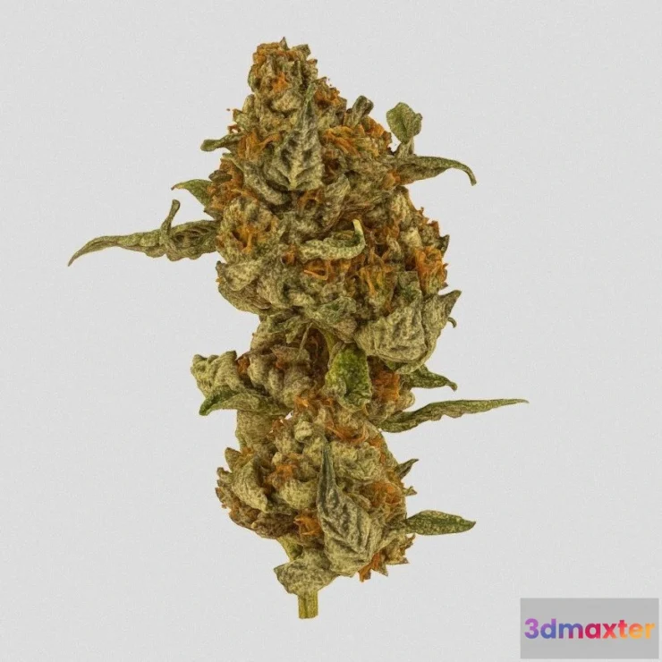 1532526 - PBR Game 3D Models - Superweed2 3D Max