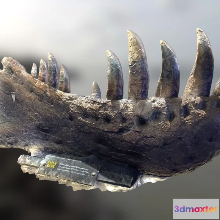 1532558 - PBR Game 3D Models - T Rex Partial Lower Jaw 3D Max