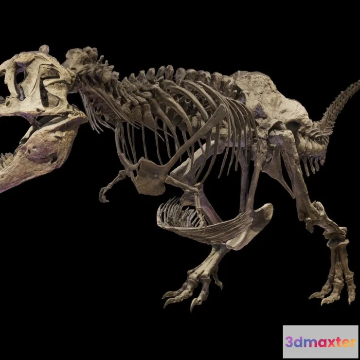 1532560 - PBR Game 3D Models - T Rex Skeleton 3D Max
