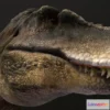 1532572 - PBR Game 3D Models - Tarbosaurus 3D Max