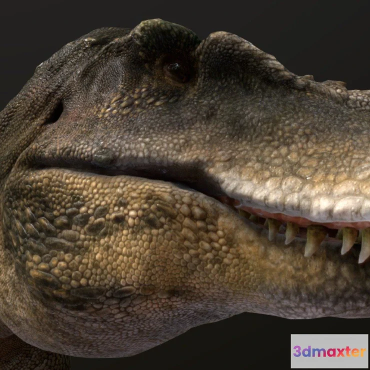 1532572 - PBR Game 3D Models - Tarbosaurus 3D Max
