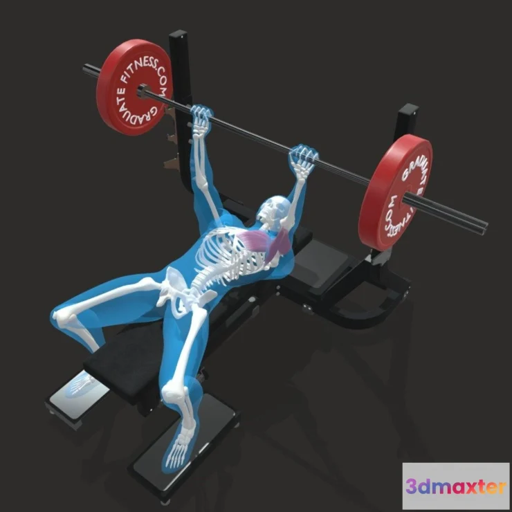 1532646 - PBR Game 3D Models - The Barbell Bench Press 3D Max