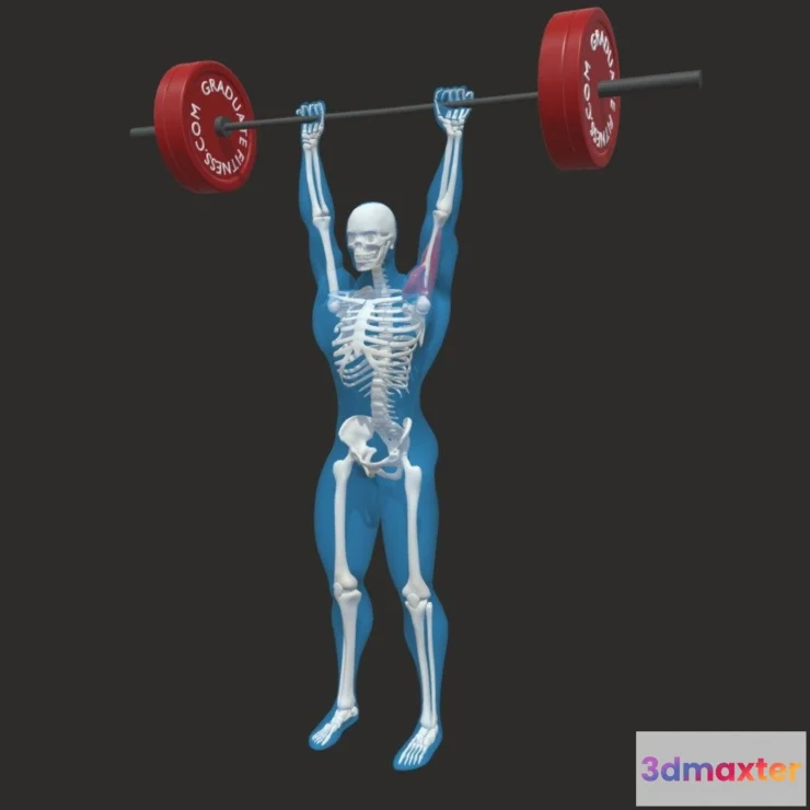 1532650 - PBR Game 3D Models - The Barbell Overhead Press 3D Max