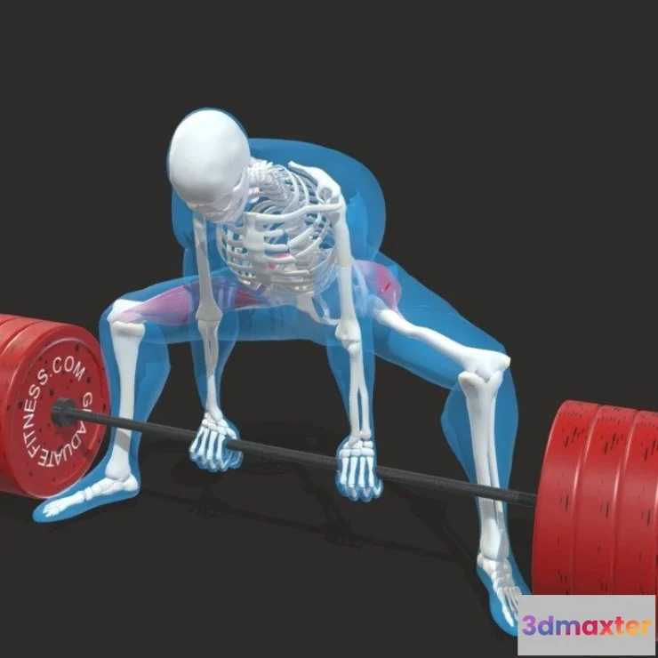 1532718 - PBR Game 3D Models - The Sumo Deadlift 3D Max