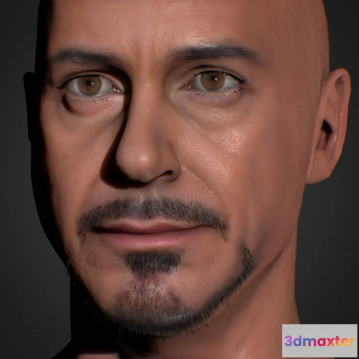 1532756 - PBR Game 3D Models - Tin Man Low 3D Max