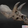 1532828 - PBR Game 3D Models - Triceratops Horridus 600K Polys 3D Max