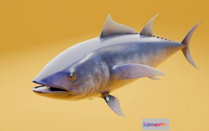 1532842 - PBR Game 3D Models - Tuna fish 3D Max
