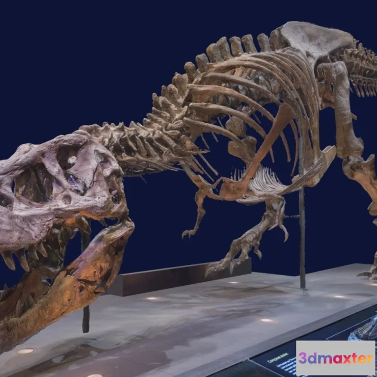 1532876 - PBR Game 3D Models - Tyrannosaurus Trix 3D Max