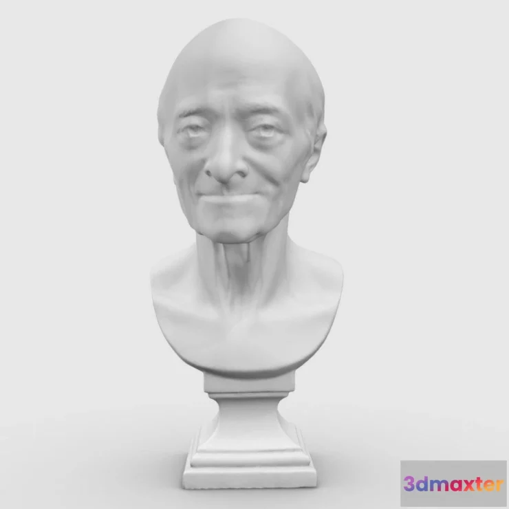 1533026 - PBR Game 3D Models - Voltaire A Lantique 3D Max