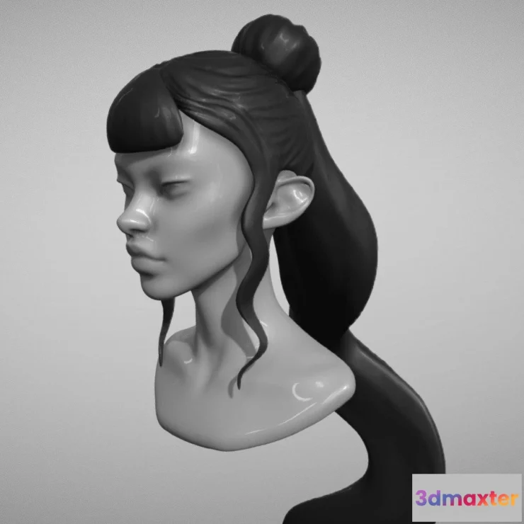 1533096 - PBR Game 3D Models - Wavy Hairstyle Long Hair With Bangs 3D Max