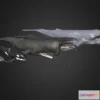 1533128 - PBR Game 3D Models - Whales Pack 3D Max