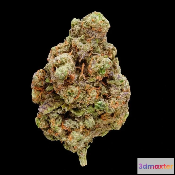 1533134 - PBR Game 3D Models - White Papaya Cannabis Model 3D Max