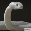 1533138 - PBR Game 3D Models - White Viper Snake With Animations 3D Max