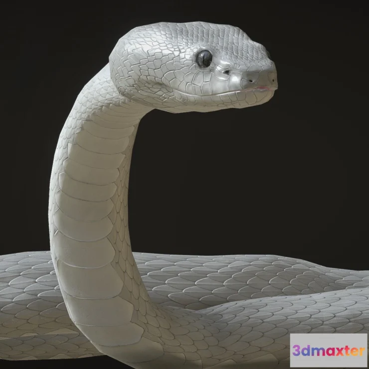 1533138 - PBR Game 3D Models - White Viper Snake With Animations 3D Max