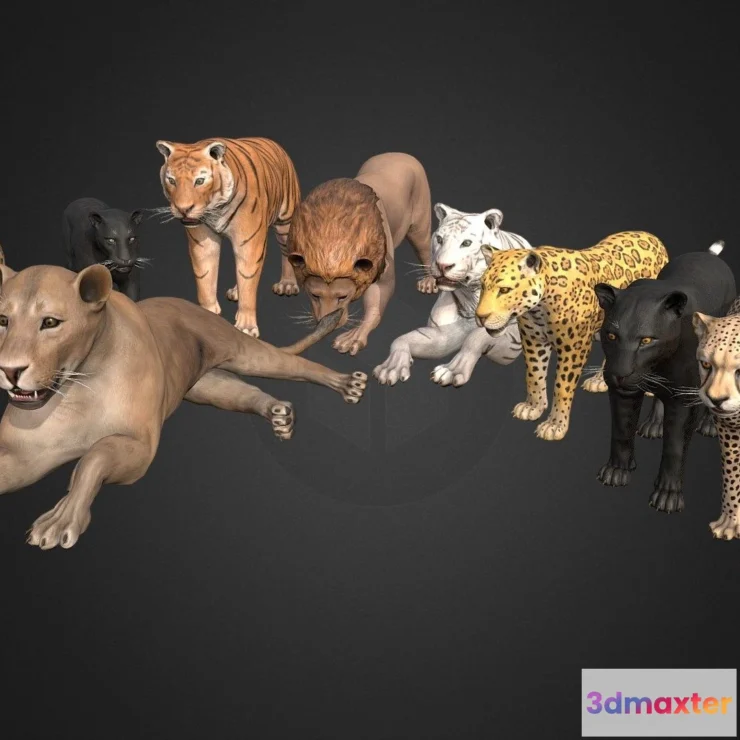 1533140 - PBR Game 3D Models - Wild African Cats 3D Max