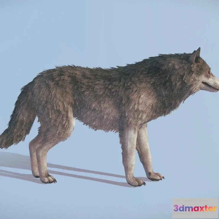 1533174 - PBR Game 3D Models - Wolf Realistic 3D Max