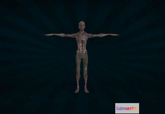 1533278 - PBR Game 3D Models - Zombie 3D Max