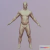 1533288 - PBR Game 3D Models - 3D Body Scan Matej 3D Max
