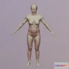 1533290 - PBR Game 3D Models - 3D Body Scan Natasa 3D Max