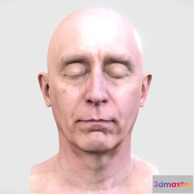 1533296 - PBR Game 3D Models - 3D Scan Head Of A Man 3D Max