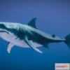 1533446 - PBR Game 3D Models - Great White Shark 3D Max