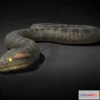 1533450 - PBR Game 3D Models - Green Anaconda 3D Max