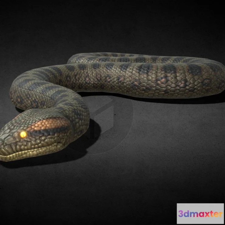 1533450 - PBR Game 3D Models - Green Anaconda 3D Max
