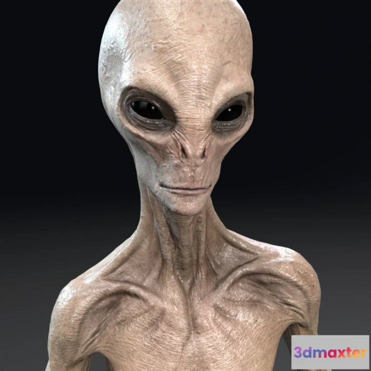 1533458 - PBR Game 3D Models - Grey Alien 3D Max
