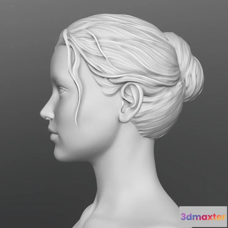 1533508 - PBR Game 3D Models - Hair 07 3D Max