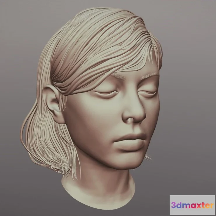 1533554 - PBR Game 3D Models - Hair 55 3D Max