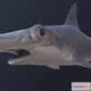 1533596 - PBR Game 3D Models - Hammerhead shark 3D Max