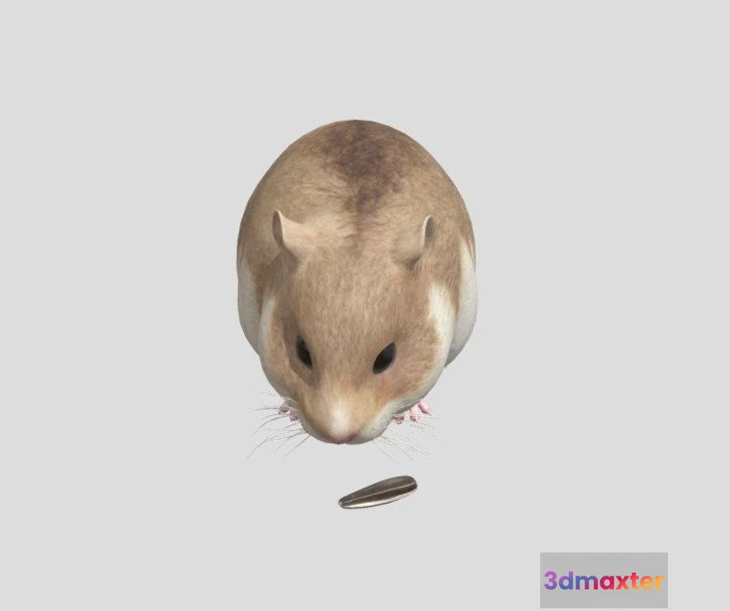 1533600 - PBR Game 3D Models - Hamster 3D Max