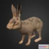 1533616 - PBR Game 3D Models - Hare 3D Max