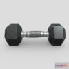 1533682 - PBR Game 3D Models - Hex Dumbbell 10Kg 3D Max