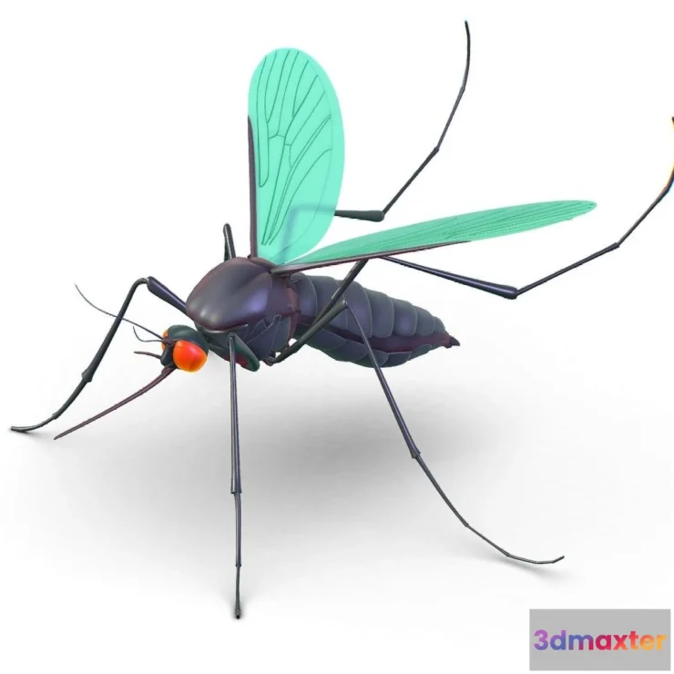 1533688 - PBR Game 3D Models - High Poly Big Realistic Mosquito 3D Max