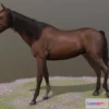 1533770 - PBR Game 3D Models - Horse Standing Pose 2 3D Max